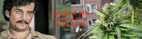 дживик Долгопрудный