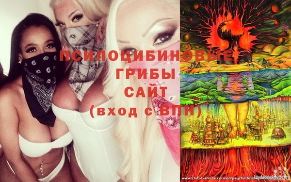 дживик Долгопрудный